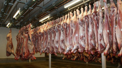 Kenya Meat Commission. PHOTO/COURTESY
