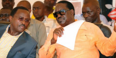 Kalonzo Musyoka and Raila Odinga. PHOTO/COURTESY