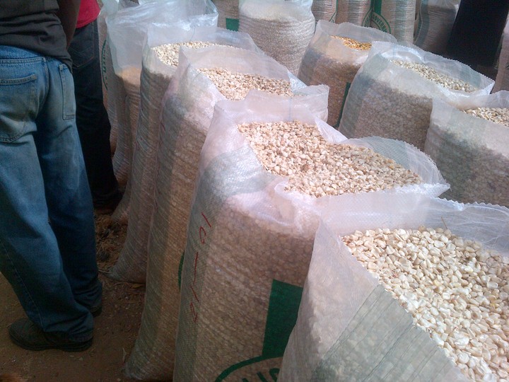 Bags of maize. PHOTO/COURTESY