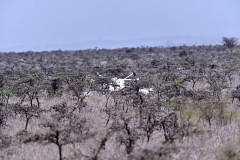 Crash site at the Nairobi National Park. PHOTO/TWITTER