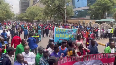 Traders demo