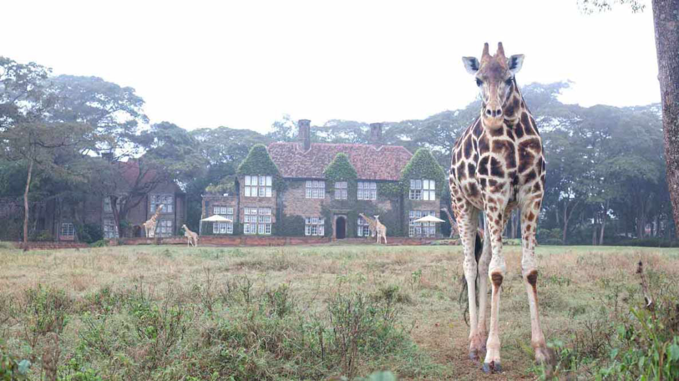 The Giraffe Manor. PHOTO/COURTESY