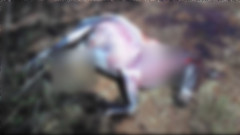 One of the donkeys slaughtered in Kiambu. PHOTO/DCI