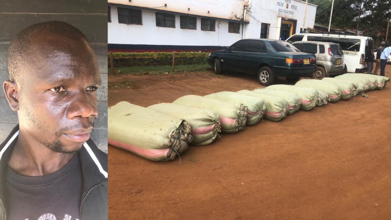 The suspect and the 12 sacks of marijuana he was transporting. PHOTO/COURTESY