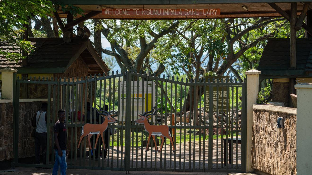 Impala Sanctuary. PHOTO/COURTESY