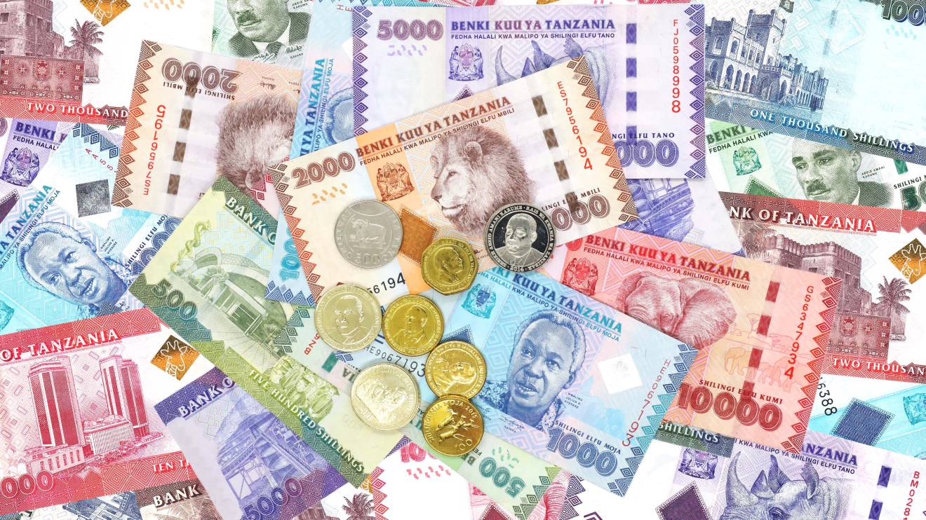 Tanzanian currency. PHOTO/COURTESY